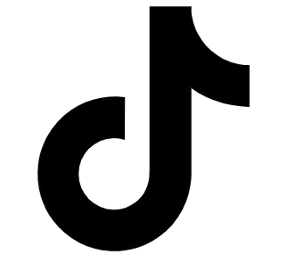 TikTok icon